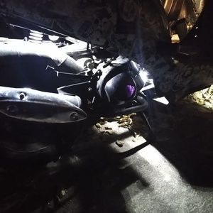 Meet your Posher, Archie